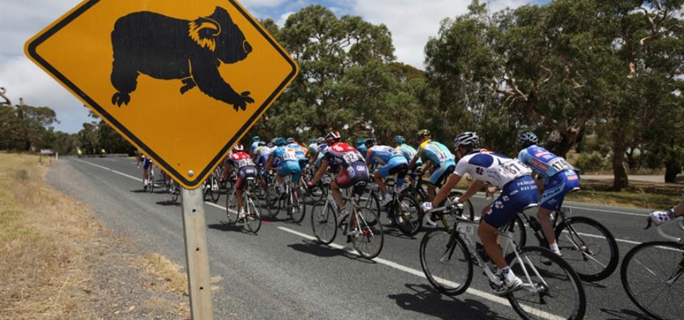 Santos Tour Down Under 2017, chi alza la prima coppa?